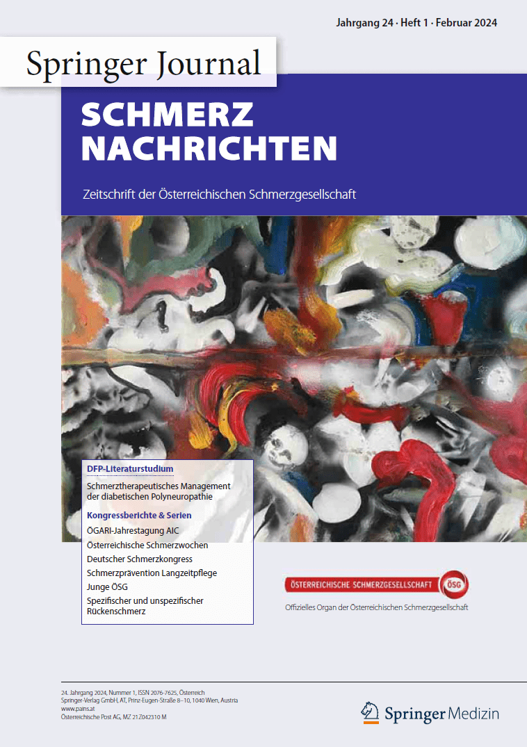 Cover Schmerz Nachrichten 1/24
