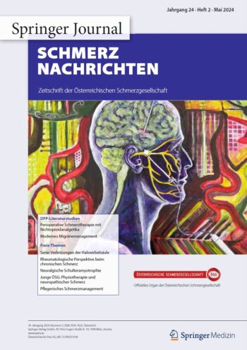 Cover Schmerz Nachrichten 2/24