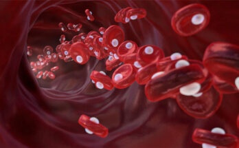 Conceptual illustration of red blood cells (erythrocytes) with oxygen molecules (white) in an artery.