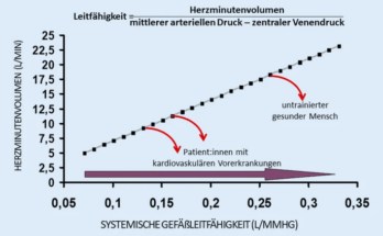 Abb. 3: Zusammenhang zwischen Zunahme der systemischen Gefäßleitfähigkeit und dem Herzminutenvolumen bei konstanter Aufrechterhaltung eines systemischen Perfusionsdrucks von 60 mm Hg.