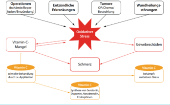 Abb. 1: Zusammenhang zwischen Erkrankungen, oxidativem Stress, Vitamin-C-Mangel und Schmerz
