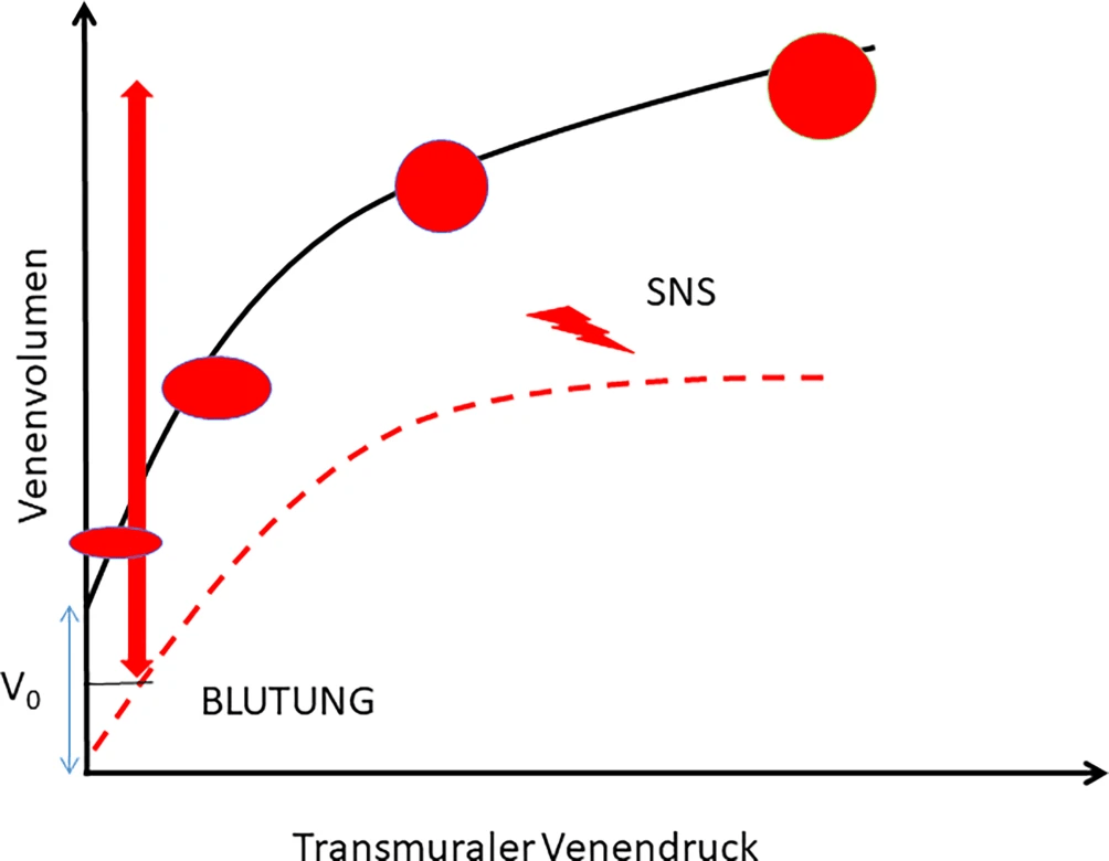 Abb. 1: Venöse Compliance-Kurven. Die Beziehung zwischen transmuralen Venendruck und Venenblutvolumen in einer isolierten Vene verläuft entlang einer sigmoidalen Kurve. Diese Kurve schneidet die Y‑Achse über dem 0‑Punkt. Das bedeutet, dass das Gefäß auch bei einem transmuralen Druck von 0 Volumen enthält. Dieses Blutvolumen (V0 „unstressed volume“) kann durch Compliance-Änderung der Venenwand, z. B. durch Vasokonstriktion unter Einfluss des sympathischen Nervensystems bei Blutung (SNS, gestrichelte Linie), mobilisiert werden