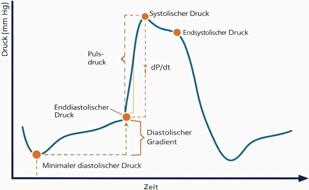 Schematische Darstellung der Druckkurve des rechten Ventrikels (RV). Markiert sind minimaler diastolischer Druck, enddiastolischer Druck, systolischer Druck, endsystolischer Druck, Pulsdruck, der diastolische Gradient sowie die Druckanstiegsrate (dP/dt)